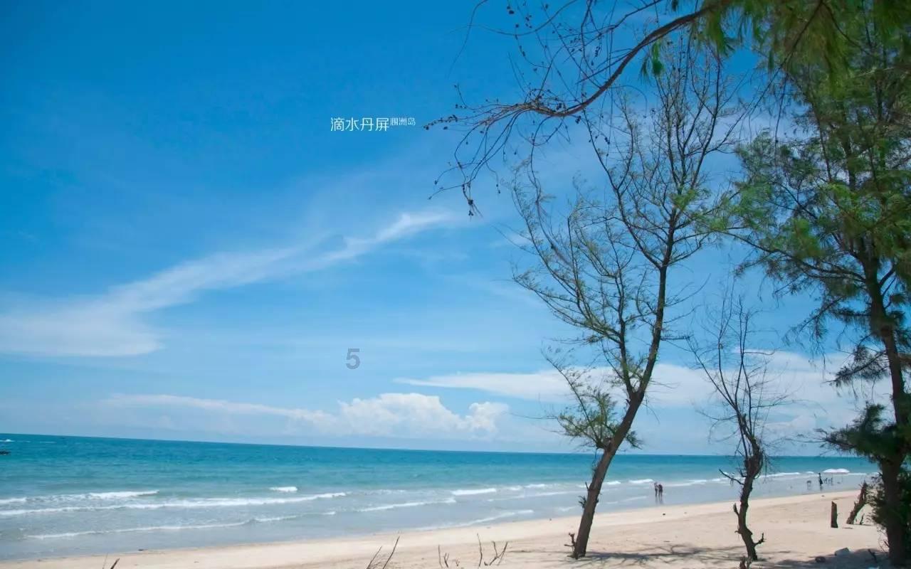 寻找遗失的手提包